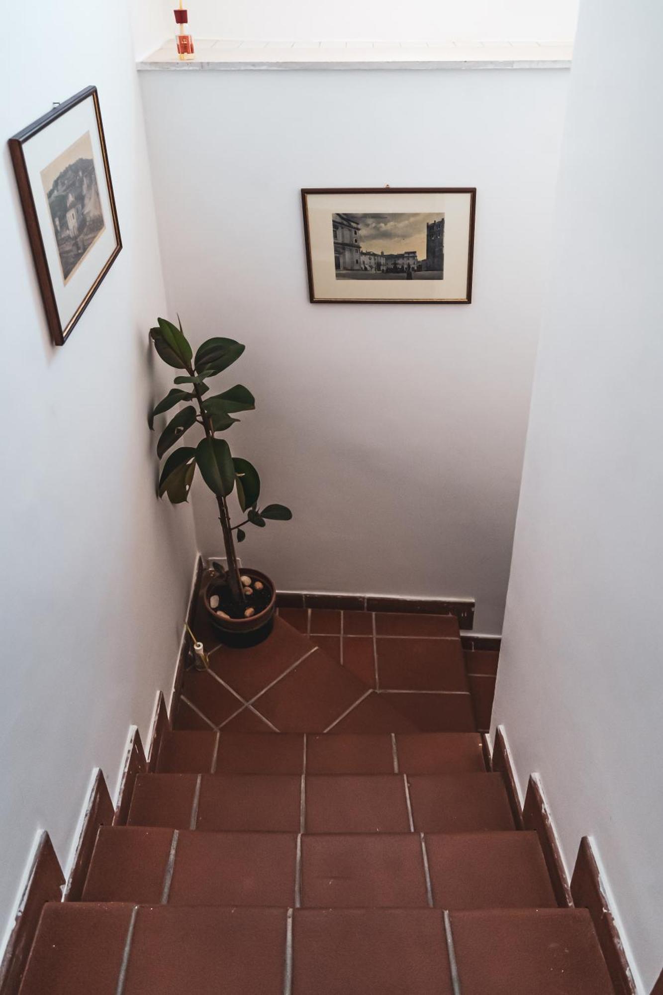 Casina Carina - Intero Appartamento Indipendente Alatri Esterno foto