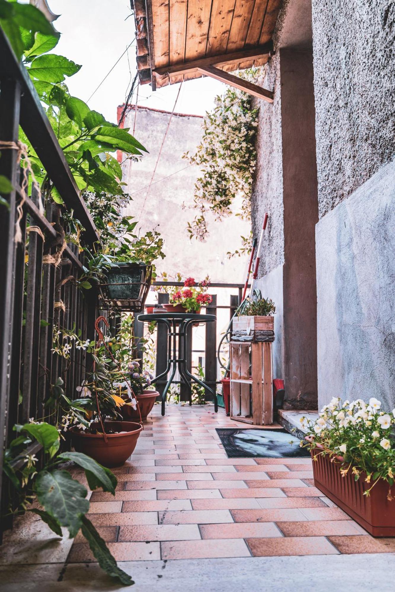 Casina Carina - Intero Appartamento Indipendente Alatri Esterno foto